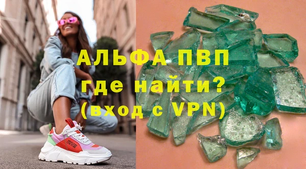 индика Абаза