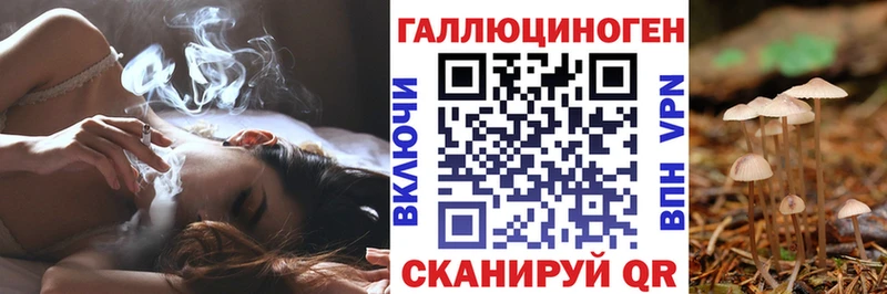 где можно купить наркотик  Чкаловск  Псилоцибиновые грибы GOLDEN TEACHER 